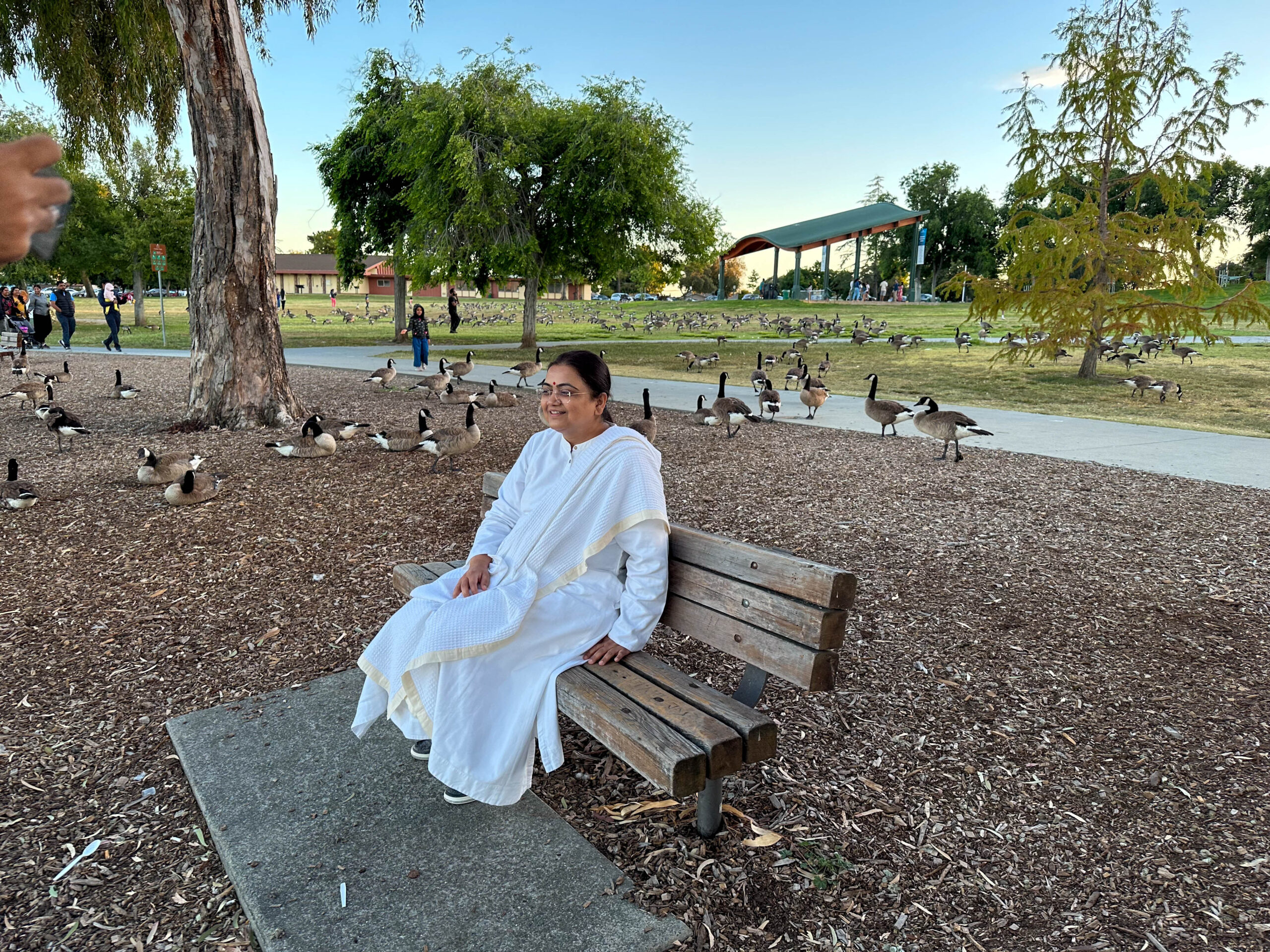 A Glimpse of Sri Guru’s USA Dharma Yatra 2023